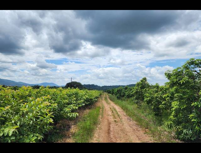 742,854M² FARM FOR SALE IN LEVUBU